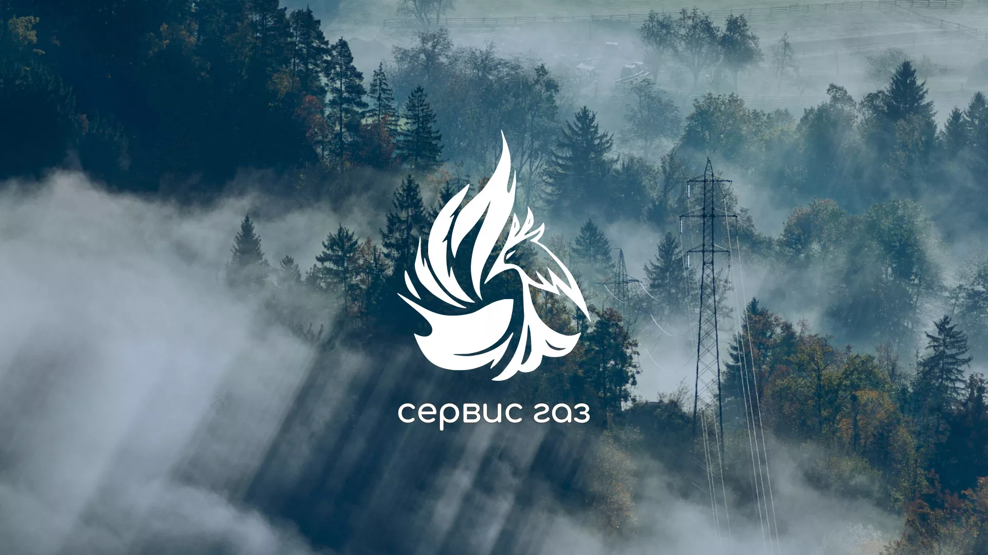 Создание сайта компании «Сервис газ» в Западной Двине