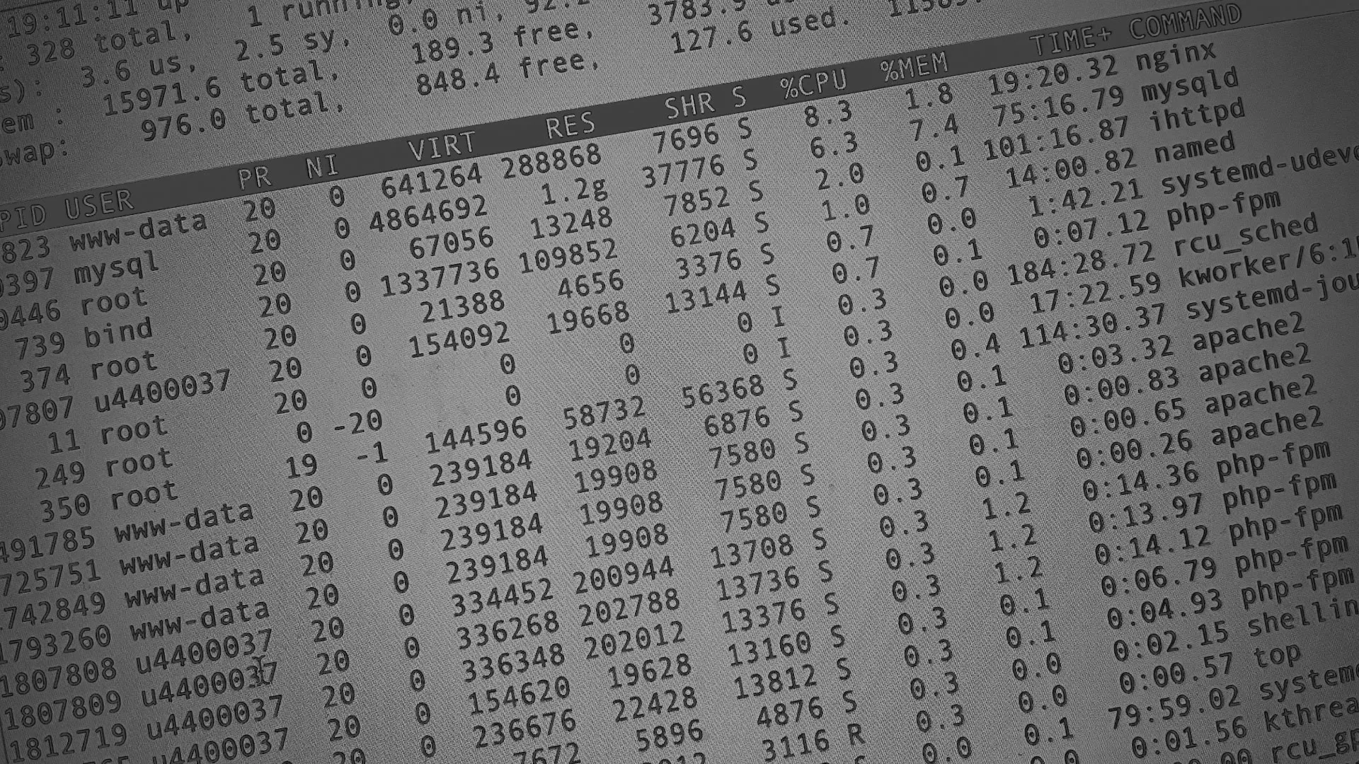 Настройка сервера в Западной Двине