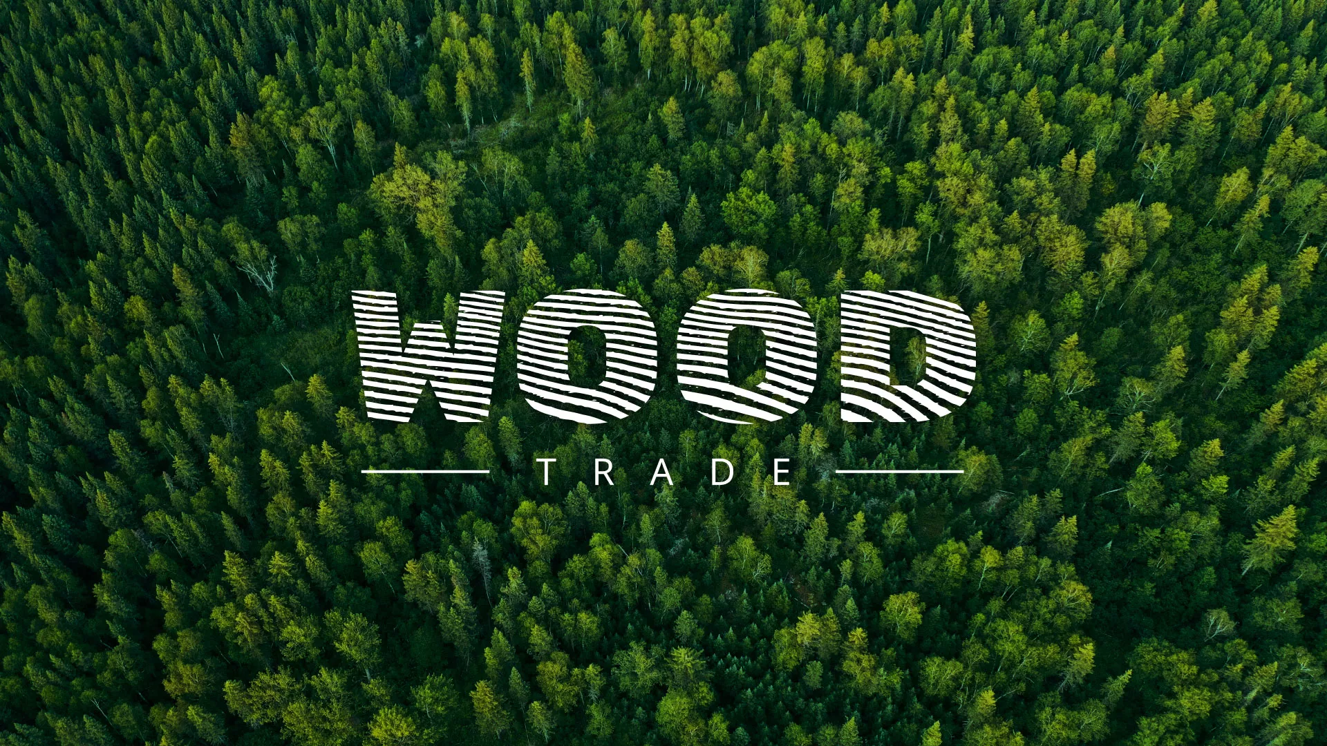 Разработка интернет-магазина компании «Wood Trade» в Западной Двине