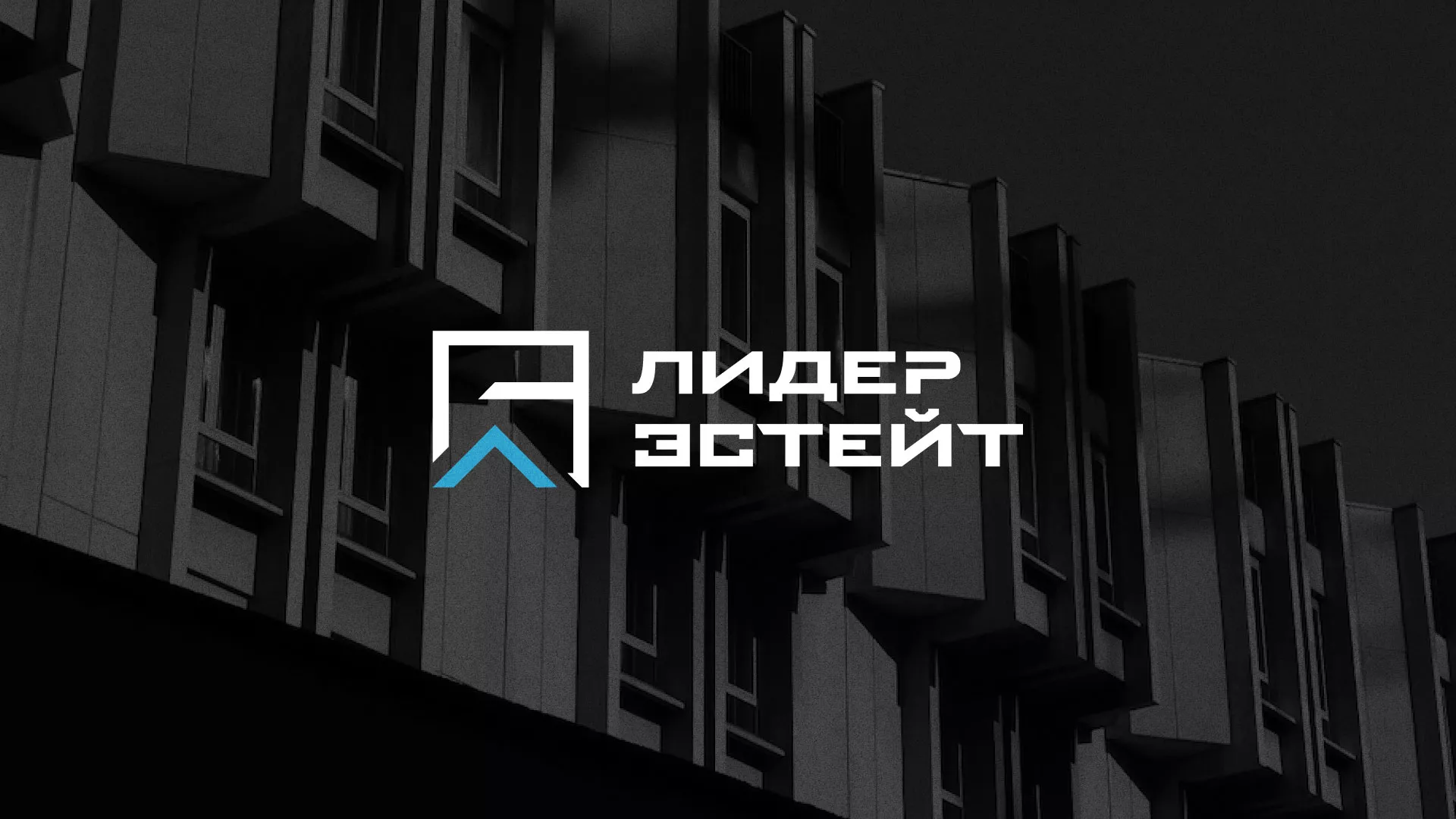 Разработка логотипа агентства недвижимости «Лидер Эстейт» в Западной Двине